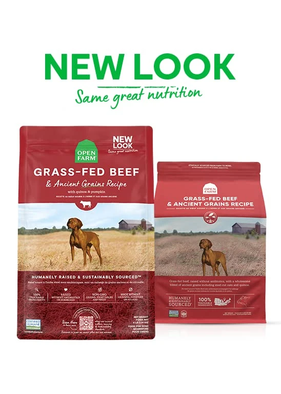 Open Farm Ancient Grains Dry Dog Food, Humanely Raised Meat Recipe With Wholesome Grains And No Artificial Flavors Or Preservatives (Grass-Fed Beef Ancient Grain, 4 Pound (Pack Of 1)) 3 Open Farm Ancient Grains Dry Dog Food, Humanely Raised Meat Recipe With Wholesome Grains And No Artificial Flavors Or Preservatives (Grass-Fed Beef Ancient Grain, 4 Pound (Pack Of 1)) - Image 3