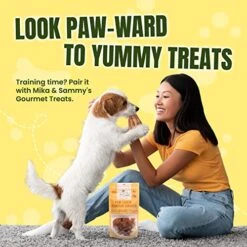 Mika & Sammy's Gourmet Jerky Dog Treats Made In The USA. (Paw Lickin Pumpkin Chicken 12 Oz) -Zoomie Shop 51B6e2pMpsL