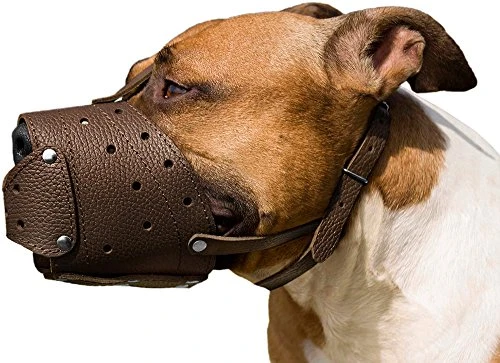 CollarDirect Leather Basket Dog Muzzle For German Shepherd Staffordshire Terrier Pitbull Medium Large Breeds Training, Anti-Barking, Biting, Chewing (Brown) 3 CollarDirect Leather Basket Dog Muzzle For German Shepherd Staffordshire Terrier Pitbull Medium Large Breeds Training, Anti-Barking, Biting, Chewing (Brown) - Image 3