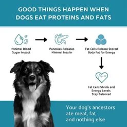 Ketona Chicken Recipe Adult Dry Dog Food, Natural, Low Carb (only 5%), High Protein (46%), Grain-Free, The Nutrition Of A Raw Diet With The Cost And Convenience Of A Kibble; 4.2lb 10 Ketona Chicken Recipe Adult Dry Dog Food, Natural, Low Carb (only 5%), High Protein (46%), Grain-Free, The Nutrition Of A Raw Diet With The Cost And Convenience Of A Kibble; 4.2lb -Zoomie Shop 51BX4sfVaCL