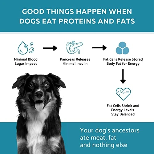 Ketona Chicken Recipe Adult Dry Dog Food, Natural, Low Carb (only 5%), High Protein (46%), Grain-Free, The Nutrition Of A Raw Diet With The Cost And Convenience Of A Kibble; 4.2lb 4 Ketona Chicken Recipe Adult Dry Dog Food, Natural, Low Carb (only 5%), High Protein (46%), Grain-Free, The Nutrition Of A Raw Diet With The Cost And Convenience Of A Kibble; 4.2lb - Image 4