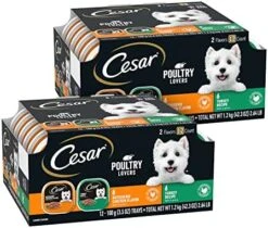 CESAR Wet Dog Food Classic Loaf In Sauce Beef Recipe, Filet Mignon, Grilled Chicken And Porterhouse Steak Variety Pack, (24) 3.5 Oz. Easy Peel Trays -Zoomie Shop 51BxhX 2BL. AC