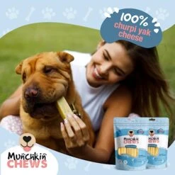 MUNCHKIN CHEWS - 5" Himalayan Real Milk Yak Cheese Bars For Dogs 5 Pack - Odor Free, Rawhide Free Long Lasting Chews - All Natural Healthy Dog & Puppy Training Sticks - Pet Food Essentials - 15 Oz -Zoomie Shop 51CxxalM7QL