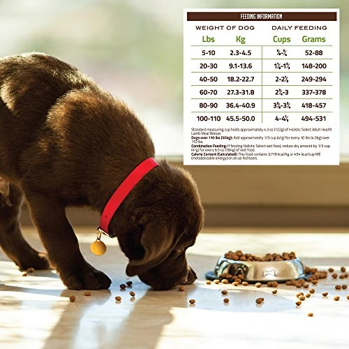 Holistic Select Natural Dry Dog Food, Lamb Meal Recipe, 30-Pound Bag 4 Holistic Select Natural Dry Dog Food, Lamb Meal Recipe, 30-Pound Bag - Image 4