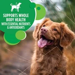 IAMS Adult Minichunks Small Kibble High Protein Dry Dog Food With Real Chicken, 30 Lb. Bag -Zoomie Shop 51D5tsLjPjL