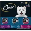 CESAR Adult Soft Wet Dog Food Filets In Gravy Variety Pack, Filet Mignon, New York Strip And Prime Rib Flavors, (24) 3.5 Oz. Trays