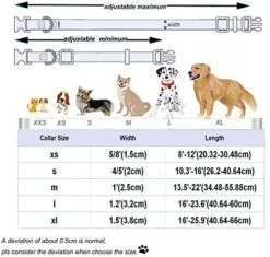 DOGWONG Summer Dog Collar With Flower,Avocado Dog Collar Comfortable Durable Fruit Dog Collar For Small Medium Large Dog 20 DOGWONG Summer Dog Collar With Flower,Avocado Dog Collar Comfortable Durable Fruit Dog Collar For Small Medium Large Dog -Zoomie Shop 51DYaGpGTLL