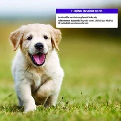 Wellness Natural Pet Food Grain Free Puppy Training Treats, 2 Pack -Zoomie Shop 51E3pu9IrFL