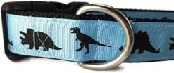 Dinosaur Dog Collar, Caninedesign, Green, T-Rex, Stegosaurus, Triceratops, 1 Inch Wide, Adjustable, Nylon, Medium And Large (Large 15-22") -Zoomie Shop 51EAy3JfxLL. AC