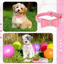 Gerrii 2 Pcs Pink Dog Cat Bowls And Small Puppy Collar Set For Cat And Dog, Pink Bling Cat Collars Rhinestones Stainless Steel Puppy Bowls Adjustable Bling Dog Collar (Pink, XS) 14 Gerrii 2 Pcs Pink Dog Cat Bowls And Small Puppy Collar Set For Cat And Dog, Pink Bling Cat Collars Rhinestones Stainless Steel Puppy Bowls Adjustable Bling Dog Collar (Pink, XS) -Zoomie Shop 51EVZGMS0jL