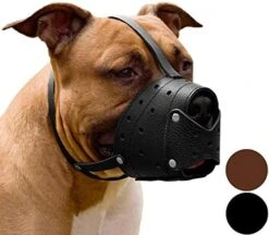 CollarDirect Leather Basket Dog Muzzle For German Shepherd Staffordshire Terrier Pitbull Medium Large Breeds Training, Anti-Barking, Biting, Chewing (Brown) 12 CollarDirect Leather Basket Dog Muzzle For German Shepherd Staffordshire Terrier Pitbull Medium Large Breeds Training, Anti-Barking, Biting, Chewing (Brown) -Zoomie Shop 51Eh8Q uLL. AC