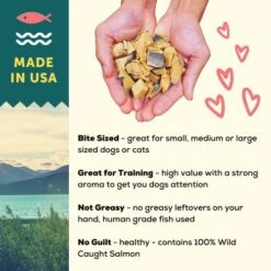 A Better Treat New Freeze Dried Salmon Dog Treats, Wild Caught, Single Ingredient | Natural High Value | Gluten Free, Grain Free, High Protein, Diabetic Friendly | Natural Fish Oil | Made In The USA -Zoomie Shop 51EzBV6GGJL