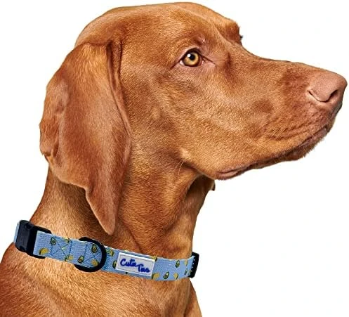 CUTIE TIES Dog Collar Breakfast Club – Durable Nylon Material - Premium Quality Collars For Dogs - Cute Dog Collars In Three Sizes (Breakfast Club, Medium (13" - 20")) 4 CUTIE TIES Dog Collar Breakfast Club – Durable Nylon Material - Premium Quality Collars For Dogs - Cute Dog Collars In Three Sizes (Breakfast Club, Medium (13" - 20")) - Image 4