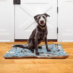 Dog Bed Mat Soft Comfortable Anti-Slip Bottom Pet Mat Washable Cat Kennel Crate Pad For Small Medium Large Pets 24x36in Thanksgiving Day Turkey Food Elements -Zoomie Shop 51F6MS3rkuL