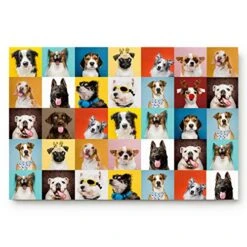LEO BON Indoor Door Mats Non Slip Front Door Rug Dog Breeds Profiles Pets Domestic Animals Illustration Washable Inside Floor Door Mat Entryway Mat 24"(L) X 16"(W) Inch
