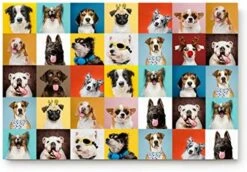 LEO BON Indoor Door Mats Non Slip Front Door Rug Dog Breeds Profiles Pets Domestic Animals Illustration Washable Inside Floor Door Mat Entryway Mat 24"(L) X 16"(W) Inch -Zoomie Shop 51FDD58cjVL. AC