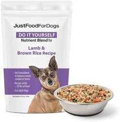 JustFoodForDogs DIY Human Quality Dog Food, Nutrient Blend Base Mix For Dogs - Chicken And White Rice Recipe (7.93oz) -Packaging May Vary -Zoomie Shop 51FJs3nmFL. AC