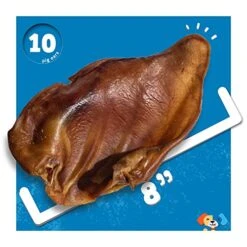 Jack&Pup Whole Pig Ears For Dogs - Extra Thick Large Pigs Ears - Premium Dog Pig Ear Treats - Natural Dog Pork Chews; Excellent Rawhide Alternative (10 Pack) 11 Jack&Pup Whole Pig Ears For Dogs - Extra Thick Large Pigs Ears - Premium Dog Pig Ear Treats - Natural Dog Pork Chews; Excellent Rawhide Alternative (10 Pack) -Zoomie Shop 51FYDt0naLL