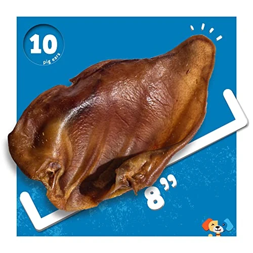 Jack&Pup Whole Pig Ears For Dogs - Extra Thick Large Pigs Ears - Premium Dog Pig Ear Treats - Natural Dog Pork Chews; Excellent Rawhide Alternative (10 Pack) 5 Jack&Pup Whole Pig Ears For Dogs - Extra Thick Large Pigs Ears - Premium Dog Pig Ear Treats - Natural Dog Pork Chews; Excellent Rawhide Alternative (10 Pack) - Image 5