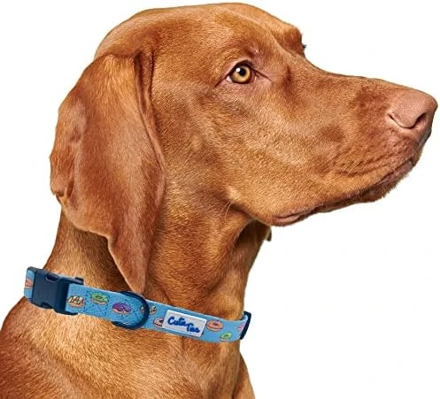 CUTIE TIES Dog Collar Breakfast Club – Durable Nylon Material - Premium Quality Collars For Dogs - Cute Dog Collars In Three Sizes (Breakfast Club, Medium (13" - 20")) 8 CUTIE TIES Dog Collar Breakfast Club – Durable Nylon Material - Premium Quality Collars For Dogs - Cute Dog Collars In Three Sizes (Breakfast Club, Medium (13" - 20")) - Image 8