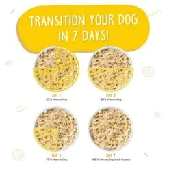 Weruva Classic Dog Food, Paw Lickin’ Chicken With Chicken Breast In Gravy, 14oz Can (Pack Of 12) -Zoomie Shop 51GH59psuJL