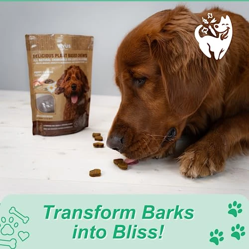 Vivus Pets Calming Chews For Dogs Anxiety Relief - Chick'n Flavored Vegan Dog Calming Treats For Training & Behavior Aid - All Natural Ingredients, Suitable For Dogs Of All Breeds, 5.3 Oz 4 Vivus Pets Calming Chews For Dogs Anxiety Relief - Chick'n Flavored Vegan Dog Calming Treats For Training & Behavior Aid - All Natural Ingredients, Suitable For Dogs Of All Breeds, 5.3 Oz - Image 4