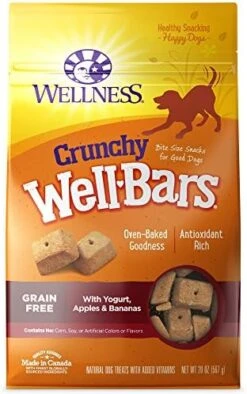 Wellness WellBars Natural Grain Free Crunchy Dog Treats, Yogurt, Apples & Banana, 45-Ounce Bag -Zoomie Shop 51GK6gxhZ2L. AC