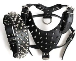 DOILNXH Spiked Studded Dog Collar And Harness Set 7 Colors Leather Collars And Harnesses For Medium Large Dogs Pitbull Mastiff Camouflage Large -Zoomie Shop 51GfzWaGCEL. AC