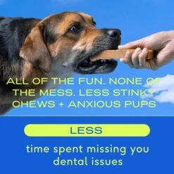 Native Pet Yak Chews For Dogs (Bulk Size - 15 Small Chews) - Pasture-Raised And Organic Himalayan Churpi Chew. Long Lasting, Low Odor, And Protein Rich Reward Treat. -Zoomie Shop 51GkJrCaDkL