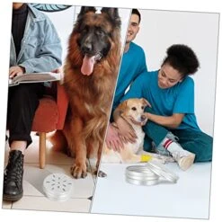 10pcs Tools Vessel Tools Threading Tool Dog Scent Training Kit Dog Scent Work Container Nose Work Dog Training Kit Dogs Scent Training Tool Dog Training Aroma Case Suite -Zoomie Shop 51GlsmIfZxL