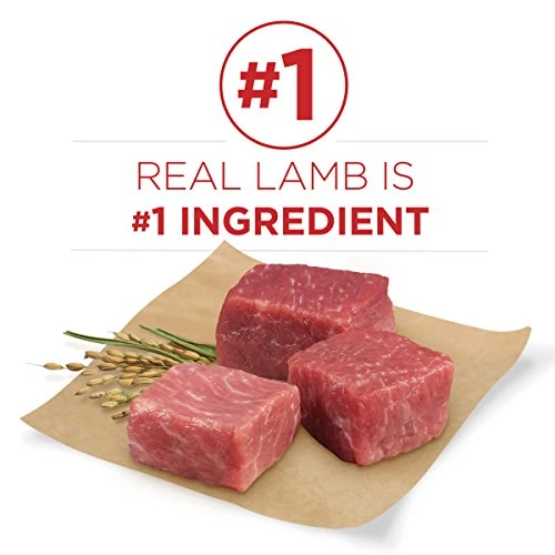 Purina ONE Dry Dog Food Lamb And Rice Formula - 16.5 Lb. Bag 4 Purina ONE Dry Dog Food Lamb And Rice Formula - 16.5 Lb. Bag - Image 4