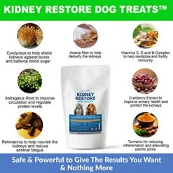 Kidney Restore Bacon Flavor Dog Treats: Low Protein Dog Treats For Kidney Health. Kidney Dog Treats For Kidney Function For Dogs. Renal Friendly Low Protein -Zoomie Shop 51HWYLvzIEL 1