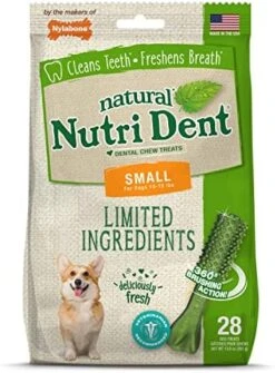 Nylabone Nutri Dent Filet Mignon Flavored Dog Dental Chews Mini - Up To 10 Lbs. 160 Count -Zoomie Shop 51Hclfis3L. AC