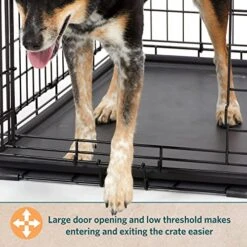 MidWest Homes For Pets XL Dog Crate | MidWest Life Stages Folding Metal Dog Crate | Divider Panel, Floor Protecting Feet, Leak-Proof Dog Pan | 48L X 30W X 33H Inches, XL Dog Breed -Zoomie Shop 51Hih8SLccL