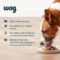 Amazon Brand - Wag Stew Canned Dog Food, Beef & Vegetable Recipe, 13.2 Oz Can (Pack Of 12) -Zoomie Shop 51HmRHE76OL