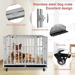 LUCKUP Stainless Steel Dog Crate Heavy Duty Dog Kennel - 40 Inch Foldable Metal Dog Cage For Large & Medium Dogs Indoor/Outdoor Use With Wheels & Tray -Zoomie Shop 51IBjQs9ZiL