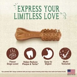 Nylabone Nutri Dent Filet Mignon Flavored Dog Dental Chews Mini - Up To 10 Lbs. 160 Count