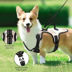 Cartoon Food Sushi Sashimi Dog Harness Adjustable Reflective Dogs Harness Soft Vest Harness For Dog Puppy Pets S (with Drawcord) 7 Cartoon Food Sushi Sashimi Dog Harness Adjustable Reflective Dogs Harness Soft Vest Harness For Dog Puppy Pets S (with Drawcord) -Zoomie Shop 51ILgc27d5L