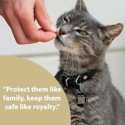 Pet Notify Intellitag - Smart Pet ID Tag Animal Recovery System For Dogs & Cats - Personalized Tag Engraved With QR Code - Web Enabled 11 Pet Notify Intellitag - Smart Pet ID Tag Animal Recovery System For Dogs & Cats - Personalized Tag Engraved With QR Code - Web Enabled -Zoomie Shop 51IR7FzzVmL