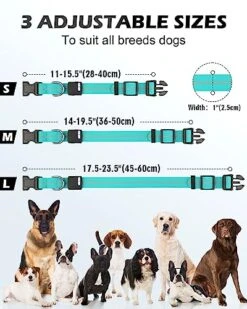 Joytale Light Up Dog Collars Rechargeable, High Visibility LED Dog Collar for Pet Night Walking, 3 Flash Modes, Rainproof PVC Glow Collar Adjustable for Small Medium Large Dogs, Teal, L -Zoomie Shop 51IwfWbp0FL