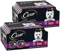 CESAR Wet Dog Food Classic Loaf In Sauce Beef Recipe, Filet Mignon, Grilled Chicken And Porterhouse Steak Variety Pack, (24) 3.5 Oz. Easy Peel Trays -Zoomie Shop 51J52W94vmL. AC