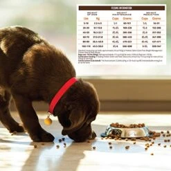 Holistic Select Natural Grain Free Dry Dog Food, Weight Management Chicken Meal & Peas Recipe, 24-Pound Bag -Zoomie Shop 51KCewFe2dL