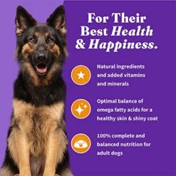 Halo® Holistic Adult Dog Grain Free Cage-Free Chicken & Sweet Potato Recipe 3.5 Lb Bag -Zoomie Shop 51KJZkqvhYL