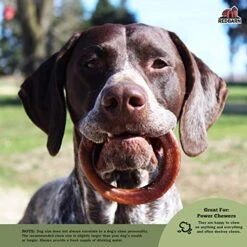 Redbarn Bully Rings (Pack Of 1) -Zoomie Shop 51KURBdtbHL