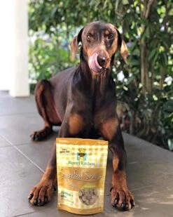 Remy’s Kitchen Freeze Dried Superfood Snacks For Dogs Pumpkin+Kale All Natural Dog Treat -Zoomie Shop 51KdIoYtIsL