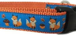 Autumn Dog Collar, Caninedesign, Fall, 1 Inch Wide, Adjustable, Nylon, Medium And Large (Fox, Large 15-22") -Zoomie Shop 51Kue3knQ L. AC 2