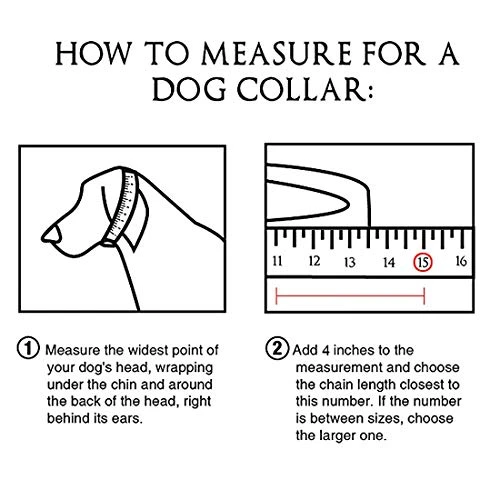 ToBeTrendy Chain Dog Walking Collar Gold Cuban Link Dog Collar 316L Stainless Steel Metal 10mm/15mm Heavy Duty Chain Collar For Medium Dogs(15MM, 26") 5 ToBeTrendy Chain Dog Walking Collar Gold Cuban Link Dog Collar 316L Stainless Steel Metal 10mm/15mm Heavy Duty Chain Collar For Medium Dogs(15MM, 26") - Image 5