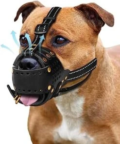 Dog Muzzle Leather, Pitbull Muzzle Amstaff Muzzles Staffordshire Terrier Secure Basket, Breathable And Adjustable Soft Muzzle For Medium Large Breeds Anti Biting Barking Chewing (Black, M) 16 Dog Muzzle Leather, Pitbull Muzzle Amstaff Muzzles Staffordshire Terrier Secure Basket, Breathable And Adjustable Soft Muzzle For Medium Large Breeds Anti Biting Barking Chewing (Black, M) -Zoomie Shop 51LJMepCmEL. AC
