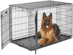 MidWest Homes For Pets XL Dog Crate | MidWest Life Stages Folding Metal Dog Crate | Divider Panel, Floor Protecting Feet, Leak-Proof Dog Pan | 48L X 30W X 33H Inches, XL Dog Breed -Zoomie Shop 51LZKUwA3ZL. AC