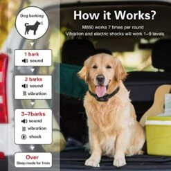 CLEEB-BOUG Dog Bark Collar, No Bark Training Rechargeable Anti Barking Collar With 9 Adjustable Sensitivity And Intensity Beep Shock Vibration For Small Medium Large Dogs (Black) -Zoomie Shop 51LoHhZKwnL